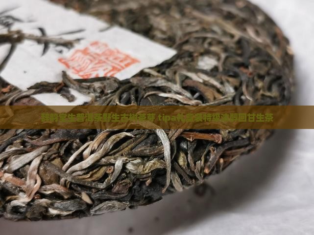 辞韵堂生普洱茶野生古树茶芽 tipa礼盒装特级浓醇回甘生茶