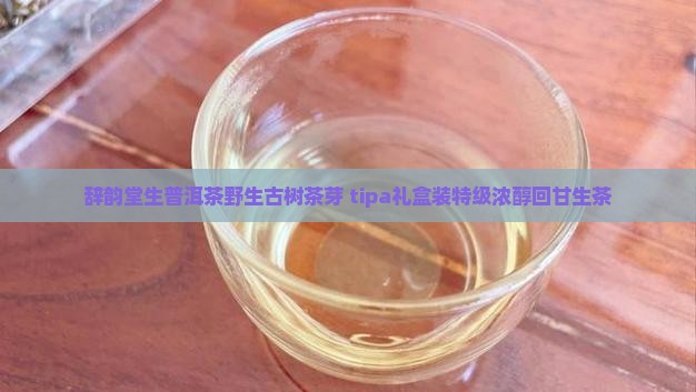 辞韵堂生普洱茶野生古树茶芽 tipa礼盒装特级浓醇回甘生茶