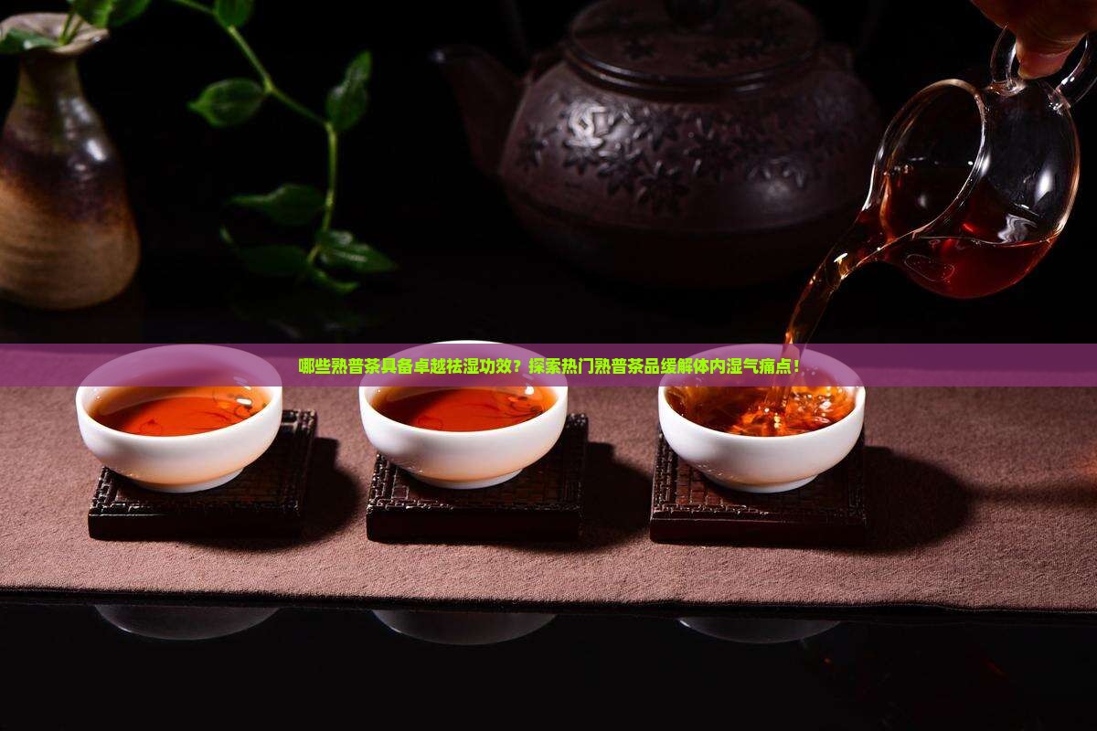 哪些熟普茶具备卓越祛湿功效？探索热门熟普茶品缓解体内湿气痛点！