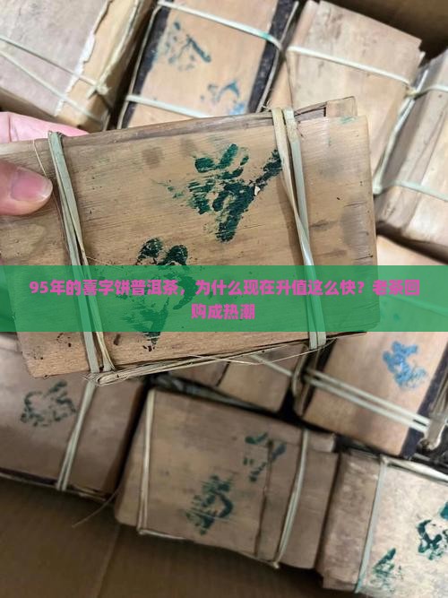 95年的喜字饼普洱茶，为什么现在升值这么快？老茶回购成热潮