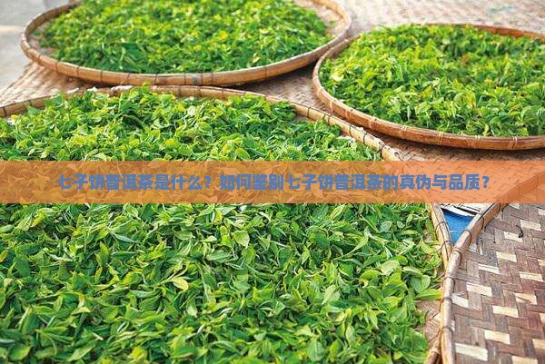 七子饼普洱茶是什么？如何鉴别七子饼普洱茶的真伪与品质？