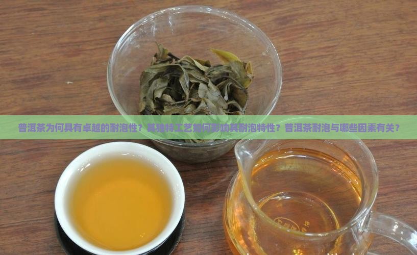 普洱茶为何具有卓越的耐泡性？其独特工艺如何影响其耐泡特性？普洱茶耐泡与哪些因素有关？