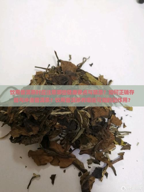 饮用普洱茶时应注意哪些健康要点与禁忌？如何正确存储与冲泡普洱茶？饮用普洱茶有哪些可能的副作用？