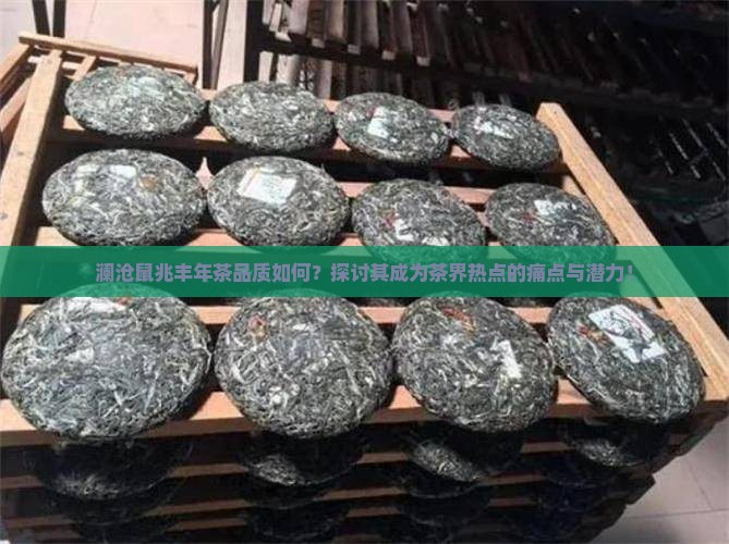 澜沧鼠兆丰年茶品质如何？探讨其成为茶界热点的痛点与潜力！