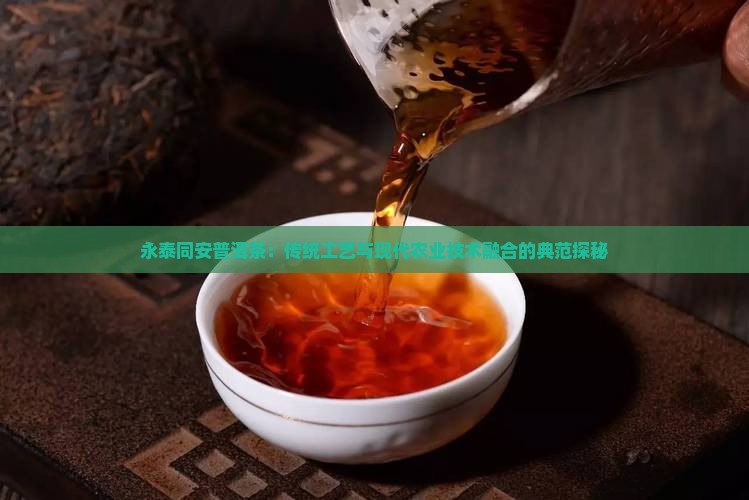 永泰同安普洱茶：传统工艺与现代农业技术融合的典范探秘