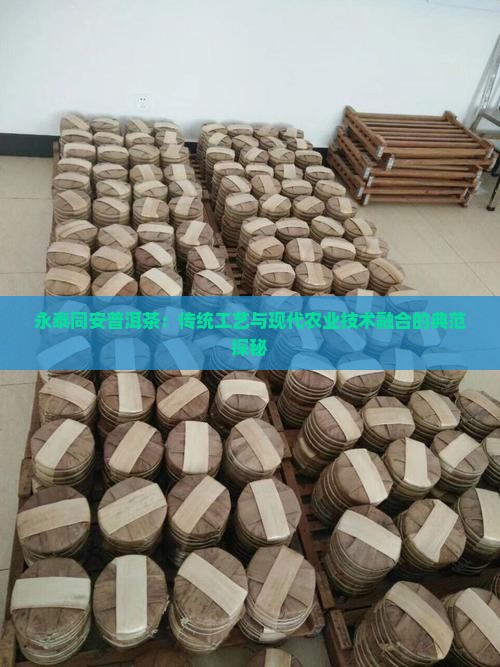 永泰同安普洱茶：传统工艺与现代农业技术融合的典范探秘