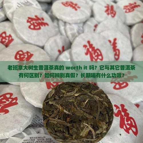 老班章大树生普洱茶真的 worth it 吗？它与其它普洱茶有何区别？如何辨别真假？长期喝有什么功效？