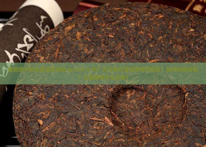 老班章大树生普洱茶真的 worth it 吗？它与其它普洱茶有何区别？如何辨别真假？长期喝有什么功效？