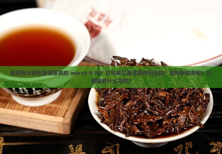 老班章大树生普洱茶真的 worth it 吗？它与其它普洱茶有何区别？如何辨别真假？长期喝有什么功效？