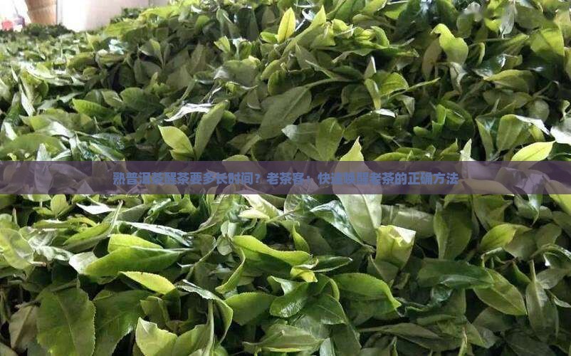 熟普洱茶醒茶要多长时间？老茶客：快速唤醒老茶的正确方法