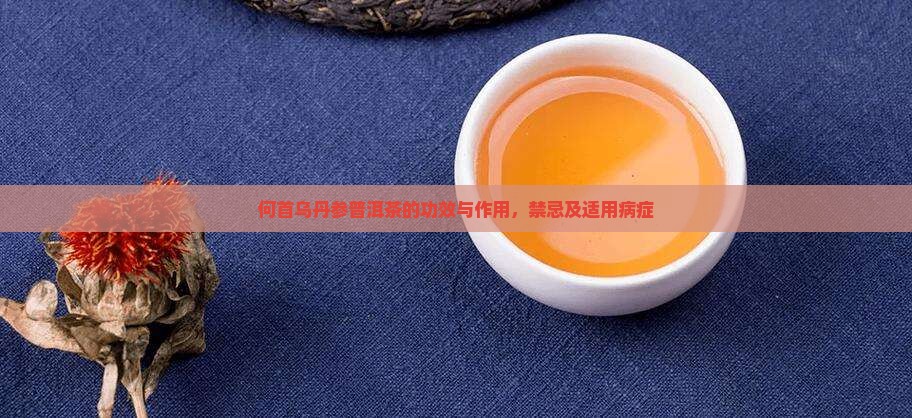 何首乌丹参普洱茶的功效与作用，禁忌及适用病症