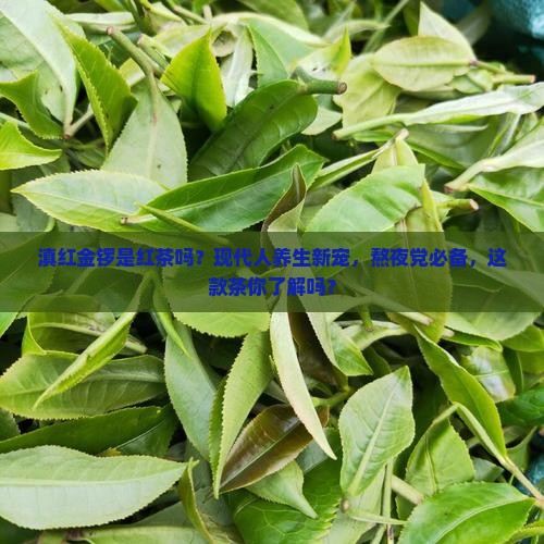 滇红金锣是红茶吗？现代人养生新宠，熬夜党必备，这款茶你了解吗？
