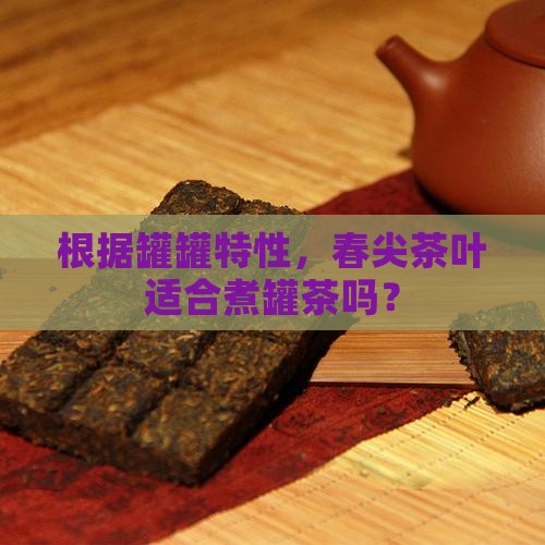 根据罐罐特性，春尖茶叶适合煮罐茶吗？