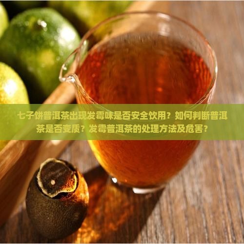 七子饼普洱茶出现发霉味是否安全饮用？如何判断普洱茶是否变质？发霉普洱茶的处理方法及危害？