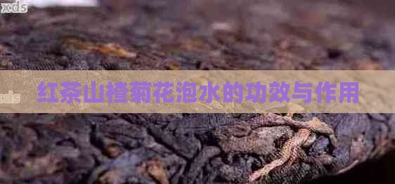 红茶山楂菊花泡水的功效与作用