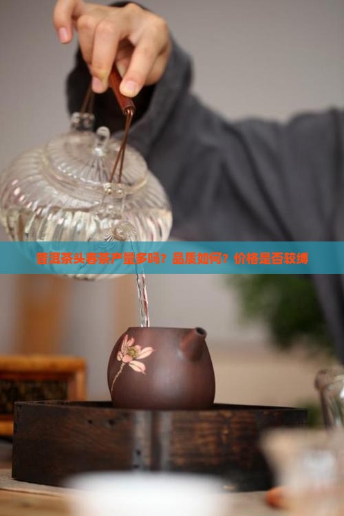 普洱茶头春茶产量多吗？品质如何？价格是否较缚