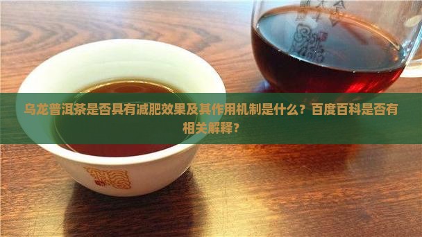 乌龙普洱茶是否具有减肥效果及其作用机制是什么？百度百科是否有相关解释？