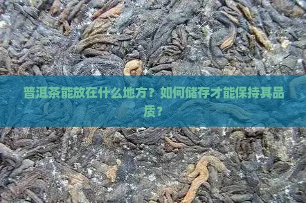 普洱茶能放在什么地方？如何储存才能保持其品质？