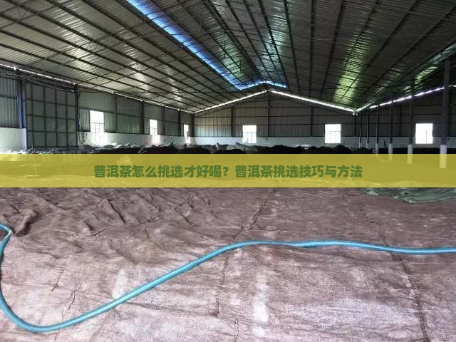 普洱茶怎么挑选才好喝？普洱茶挑选技巧与方法