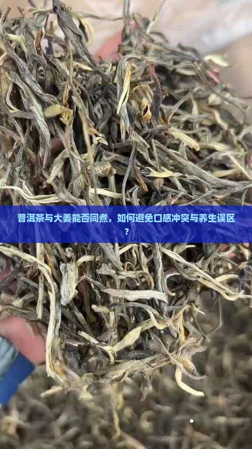 普洱茶与大姜能否同煮，如何避免口感冲突与养生误区？