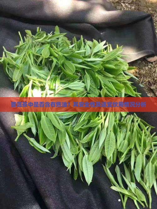 普洱茶中是否含有焦油？其安全性及适宜饮用情况分析