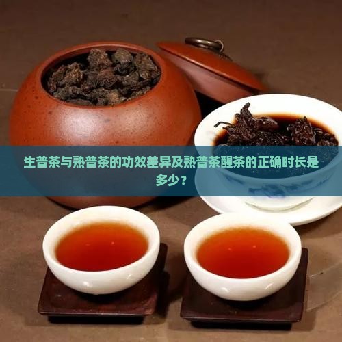 生普茶与熟普茶的功效差异及熟普茶醒茶的正确时长是多少？