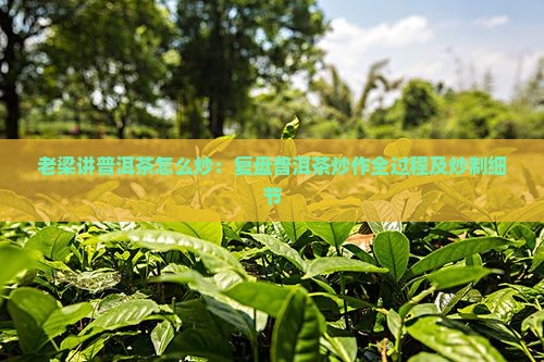 老梁讲普洱茶怎么炒：复盘普洱茶炒作全过程及炒制细节