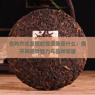 各种方式呈现的普洱茶是什么：揭开其独特魅力与品种奥秘