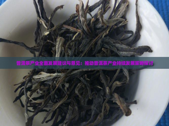 普洱茶产业全面发展建议与意见：推动普洱茶产业持续发展策略探讨