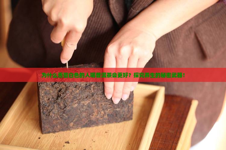 为什么舌苔白色的人喝普洱茶会更好？探究养生的秘密武器！