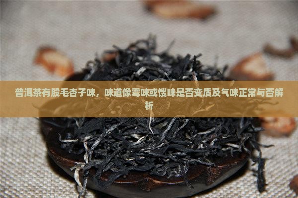 普洱茶有股毛杏子味，味道像霉味或馊味是否变质及气味正常与否解析