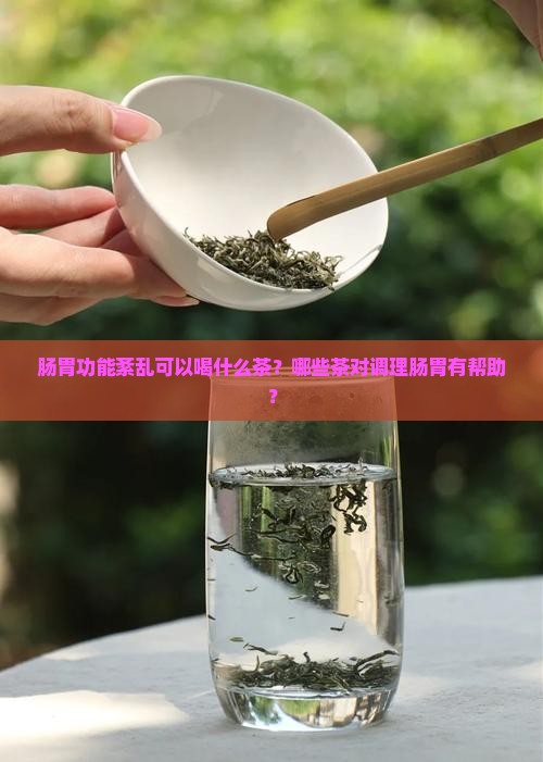 肠胃功能紊乱可以喝什么茶？哪些茶对调理肠胃有帮助？