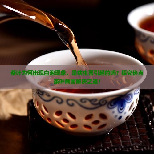 茶叶为何出现白泡现象，是病虫害引起的吗？探究热点茶叶病害解决之道！