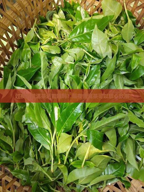 过夜的普洱茶还能喝吗？隔夜普洱茶可以放心饮用