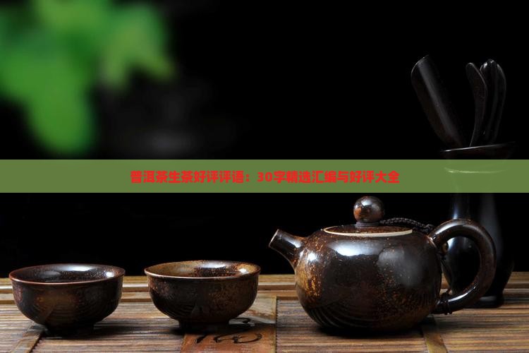 普洱茶生茶好评评语：30字精选汇编与好评大全