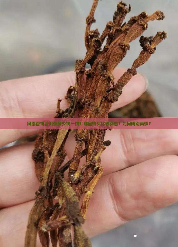 凤凰香饼普洱茶多少钱一饼？哪里购买比较实惠？如何辨别真假？