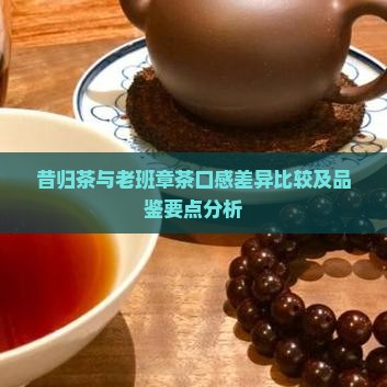 昔归茶与老班章茶口感差异比较及品鉴要点分析