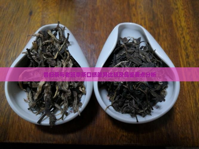昔归茶与老班章茶口感差异比较及品鉴要点分析