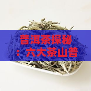普洱茶探秘：六大茶山普洱大茶各自特点解析
