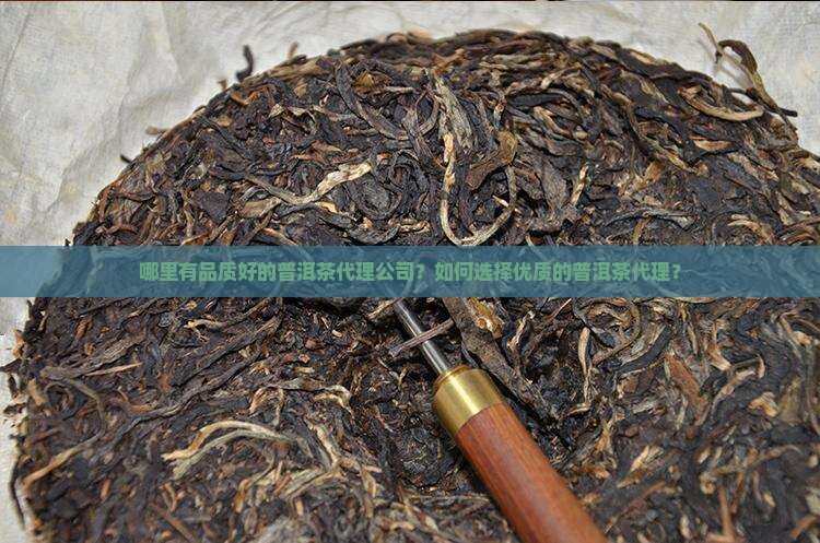 哪里有品质好的普洱茶代理公司？如何选择优质的普洱茶代理？