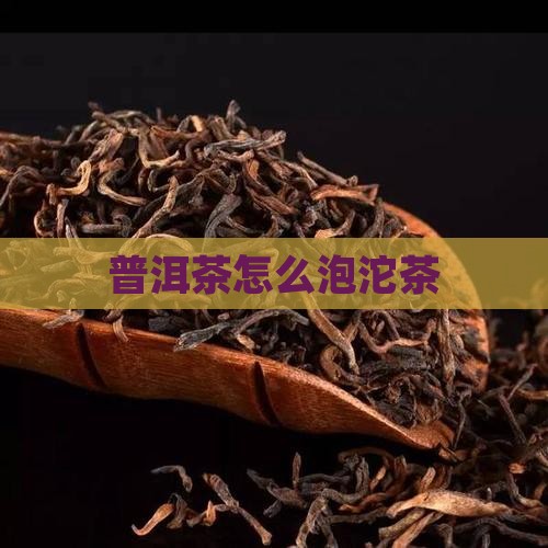 普洱茶怎么泡沱茶
