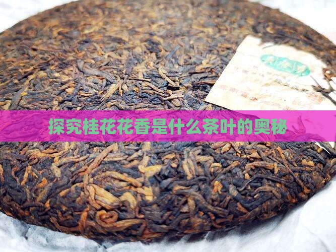 探究桂花花香是什么茶叶的奥秘