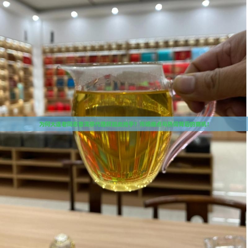 为何大连老同志普洱茶代理权如此抢手？市场痛点与热词背后的商机！