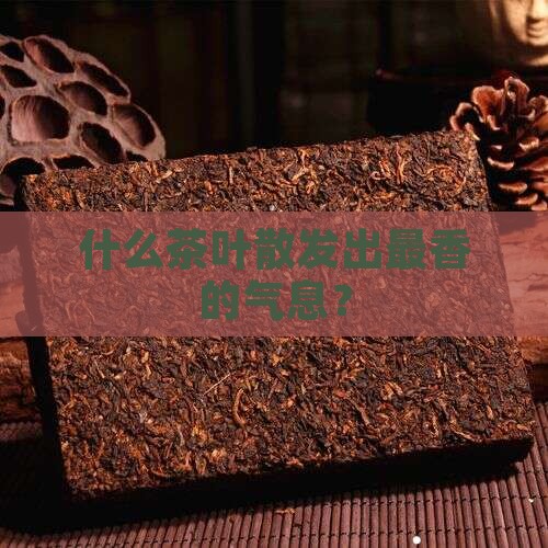 什么茶叶散发出最香的气息？