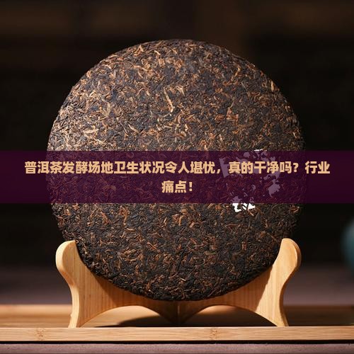 普洱茶发酵场地卫生状况令人堪忧，真的干净吗？行业痛点！