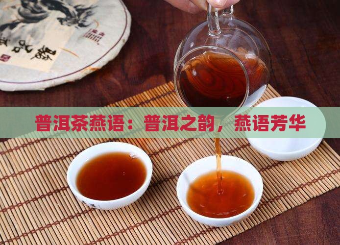 普洱茶燕语：普洱之韵，燕语芳华