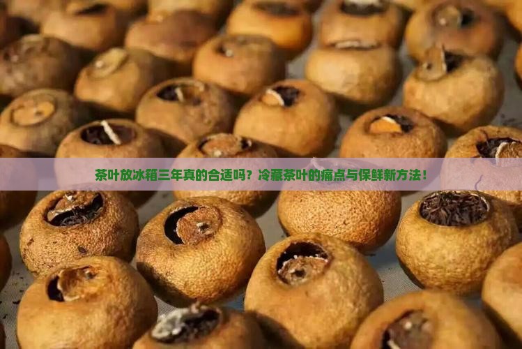 茶叶放冰箱三年真的合适吗？冷藏茶叶的痛点与保鲜新方法！