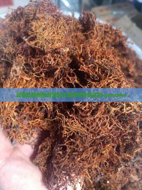 云南勐海熟茶普洱茶太璞海味价格实惠 genuine