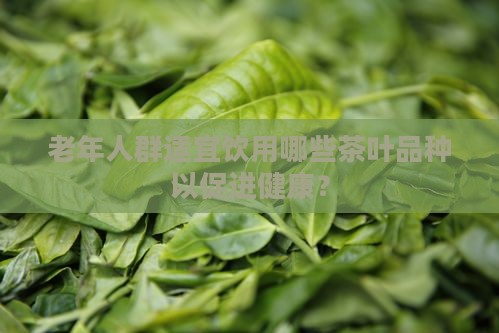 老年人群适宜饮用哪些茶叶品种以促进健康？