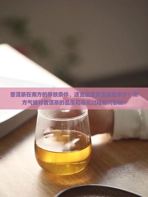 普洱茶在南方的存放条件、适宜湿度及温度是多少？南方气候对普洱茶的品质和陈化过程有何影响？